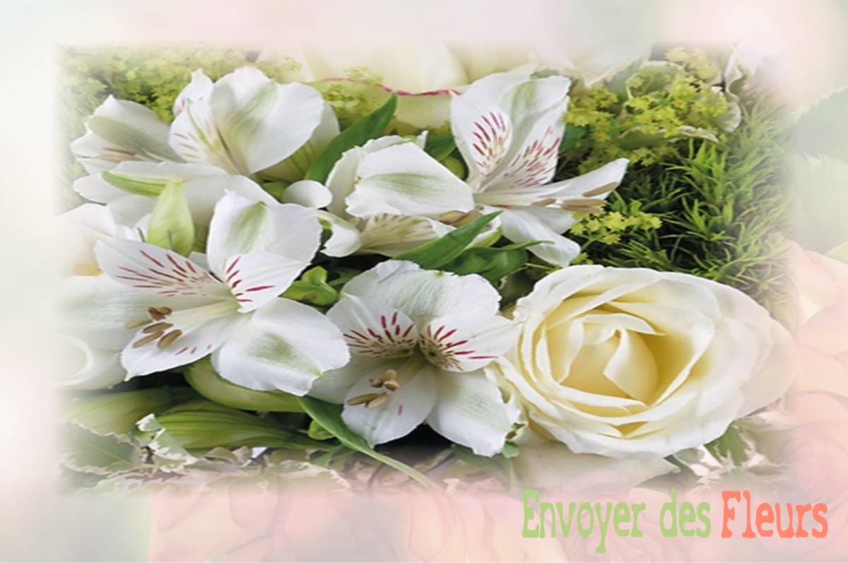 envoyer des fleurs à à SAINT-MARTIN-EN-VERCORS